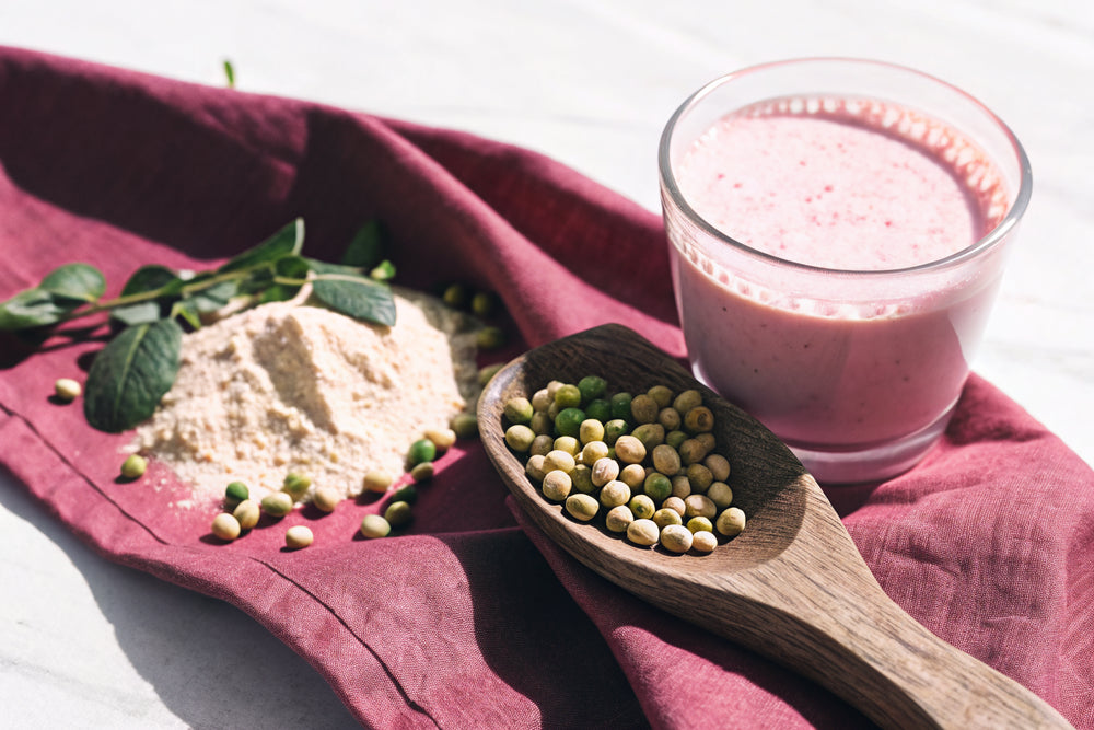 Plant Protein vs Whey for Women: Which Is Right for You?