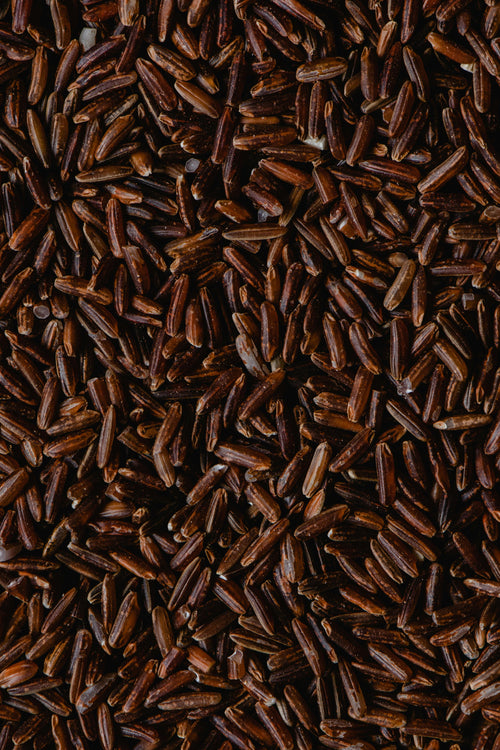 Brown Rice Protein