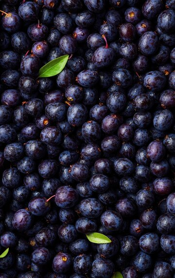 Maqui Berry