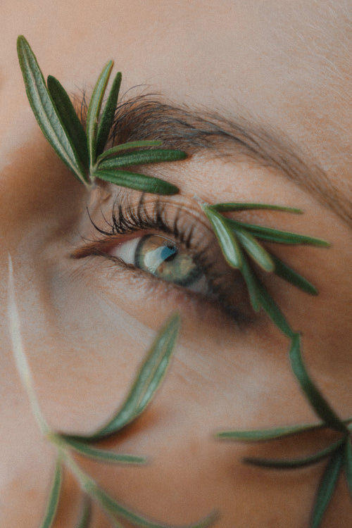 Rosemary Leaves