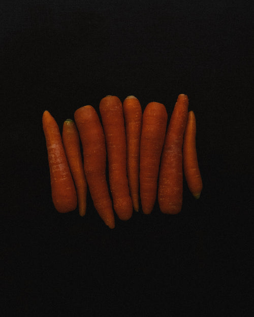 Carrot
