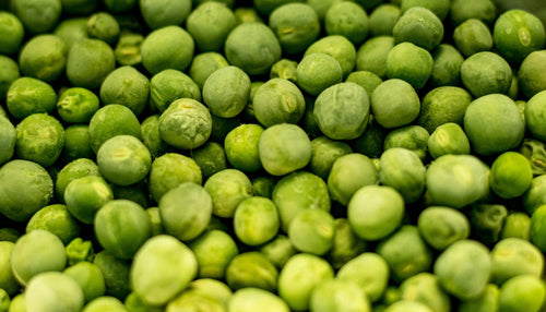 Pea Protein Isolate